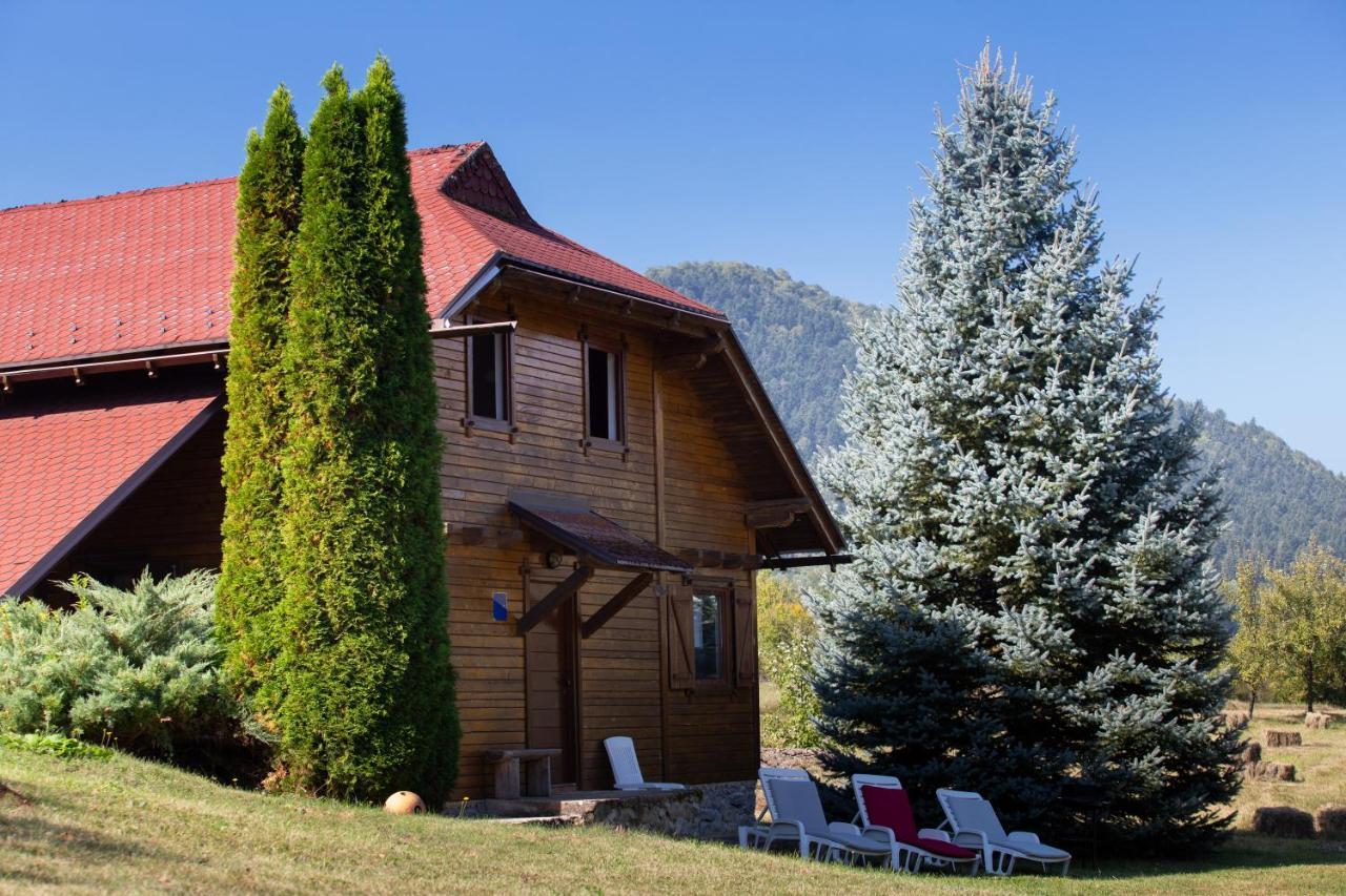 Woodenhouse With Two Apartments Оточац Екстер'єр фото